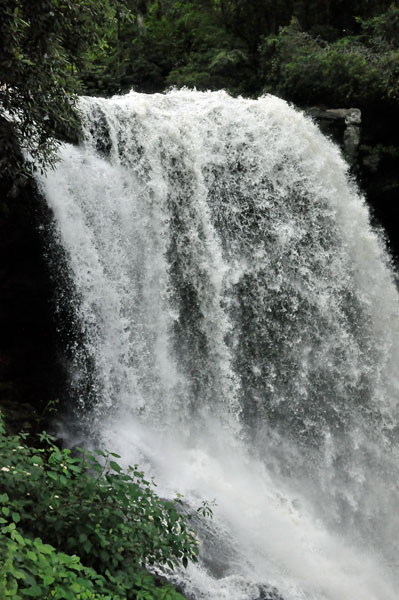 overlooking Dry Falls